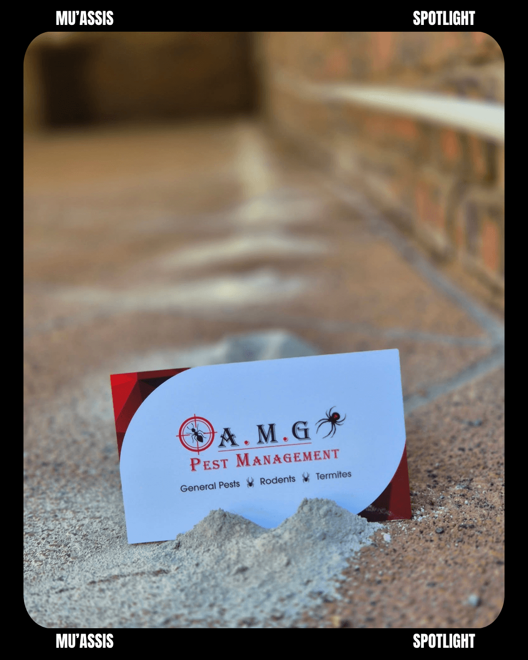 AMG Pest Management team at work